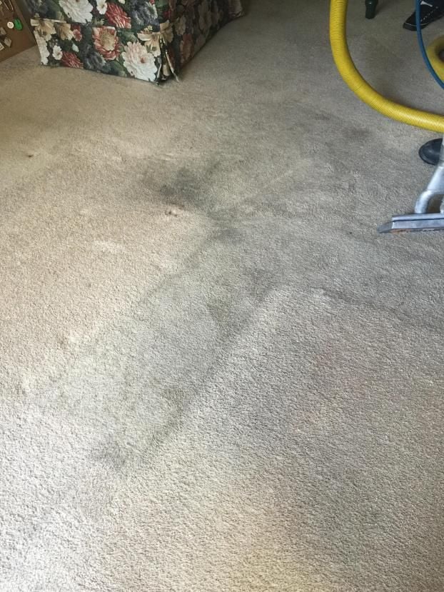 living room  carpet restoration